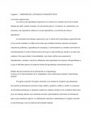 APRENDIZAJE, ENFOQUES COGNOSCITIVOS