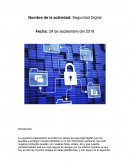 Seguridad digital