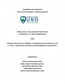 INFORME EJECUTIVO DE LA EMPRESA “AGROPRODUCTORA TOMATERA S.A DE C.V”