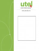 Guía de la Primera Evaluación