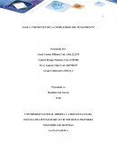 INGENIERIA DE SISTEMAS LA PLATA HUILA