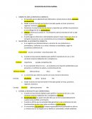 RESPUESTAS DE ETICIA Y MORAL profesional