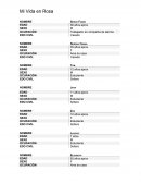 Mi vida en rosa, analisis familiar