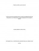 CRONOGRAMA DE ACTIVIDADES