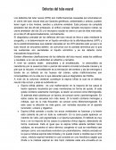 Defecto del tubo neural