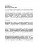 Historia global conrad