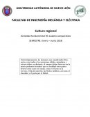 Cuadro comparativo entre México y Alemania