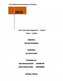 Gerencia estrategica Empresa: “CARNICOS INDIO”