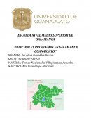 Principales problemas en Salamanca, Guanajuato
