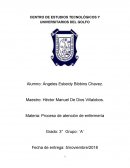 Proceso de atención de enfermería brindado al paciente femenino con diagnóstico de diabetes