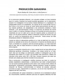 Producción Ganadera