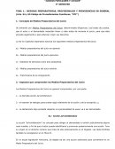 MEDIDAS PREPARATORIAS, PROVISIONALES Y PROVIDENCIAS EN GENERAL (Arts. 54 y 55 Código de Procedimientos Familiares, “CPF”)