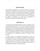 Ensayo Comportamiento Organizacional