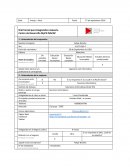 Brief Inicial para Diagnóstico Asesoría