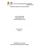 DIAGNOSTICO FAMILIAR LOS HIJOS DE SANCHEZ