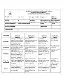 BENEMÉRITA UNIVERSIDAD AUTÓNOMA DE PUEBLA. VICERRECTORÍA DE DOCENCIA