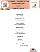 Proyecto queso de oveja