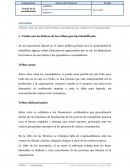 Tribus organizativas