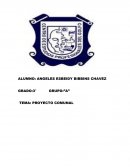 Proyecto comunal de la carpeta asfaltica