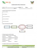 EXAMEN SEGUNDO PARCIAL FARMACOLOGIA