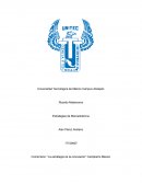 Comentario: “La estrategia de la renovación” Campbell’s México