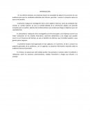 INTRODUCCIÓN y conclusion DE LA AUDITORÍA