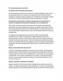 En cuanto productos y servicios, Conceptos clave del diseño del producto