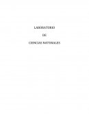 Laboratorio de ciencias naturales sobre el atomo