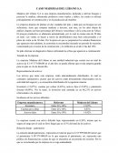 CASO MADERAS DEL LÍBANO S.A