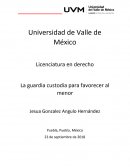 La guardia custodia para favorecer al menor