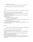 Historia de la infancia