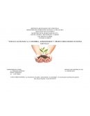 Todas las manos a la siembra, aprendemos y producimos desde nuestra escuela