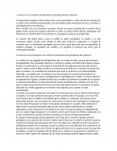 Viaje a las semillas