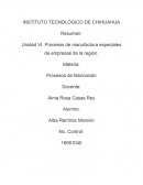 Procesos de manufactura especiales de empresas de la región