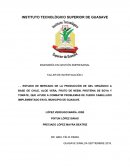 ESTUDIO DE MERCADO DE LA PRODUCCIÓN DE GEL ORGÁNICO