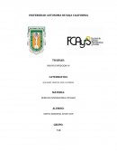 ENSAYO EXPOSICION VII DERECHO INTERNACIONAL PRIVADO