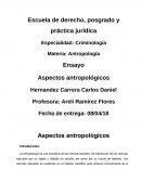 Aspectos antropológicos