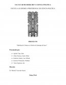 PROYECTO “Habilitación Urbana en el distrito de Santiago de Surco”