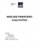 ANÁLISIS FINANCIERO CUALITATIVO