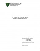Fisica universitaria uda