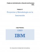 Proyectos y Metodología en la Innovación Caso IBM