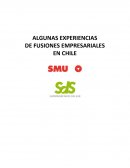 Algunas experiencias de fusiones empresariales en Chile