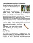Estrategias de sustentabilidad para los escenarios modificados