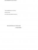 Seis sombreros en mi vida