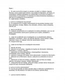 PORTAFOLIO ESPAÑOL II