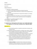 BIENESTAR SOCIAL – BIENES DE CONSUMO