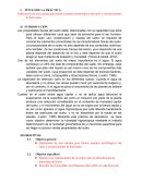 Elaboración de una calicata para futuros estudios morfológicos del suelo y reconocimiento de horizontes