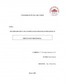 NECESIDADES EDUCATIVAS ESPECIALES ESTRATEGIAS PEDAGOGICAS