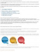 Conceptos básicos. Bases de datos, sistema de bases de datos