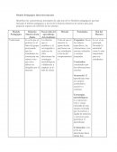 Modelo Pedagógico Interestructurante